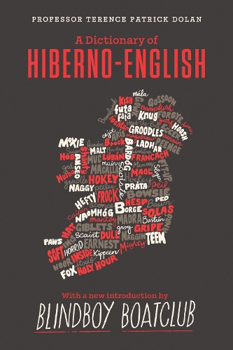 Бумажная книга «A Dictionary of Hiberno English», автор Теренс Патрик Долан - фото №1