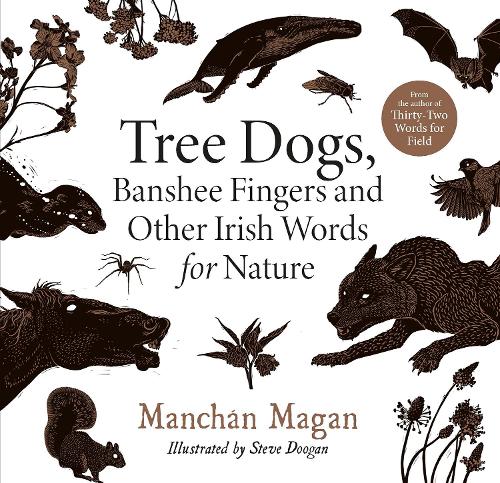 Бумажная книга «Tree Dogs, Banshee Fingers and Other Irish Words for Nature», автор Манчан Маган - фото №1