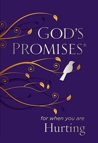Паперова книга «God's Promises for When You are Hurting», автор Джек Кантрімен - фото №1