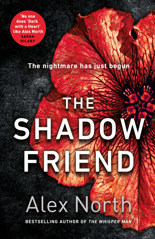 Бумажная книга «The Shadow Friend», автор Алекс Норт - фото №1