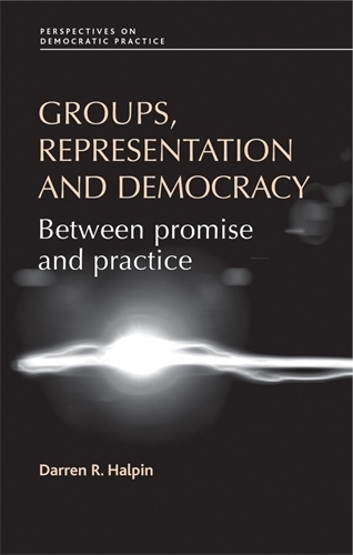 Паперова книга «Groups, Representation and Democracy: Between Promise and Practice», автор Даррен Халпін - фото №1