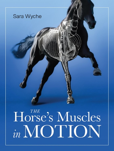 Бумажная книга «Horse's Muscles in Motion», автор Сара Уайч - фото №1