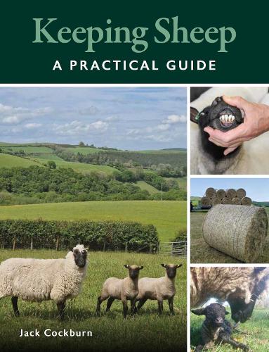 Бумажная книга «Keeping Sheep», автор Джек Кокберн - фото №1