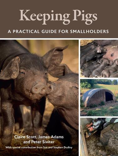 Паперова книга «Keeping Pigs: A Practical Guide for Smallholders», авторів Клер Скотт, Джеймс Адамс, Пітер Сівітер - фото №1