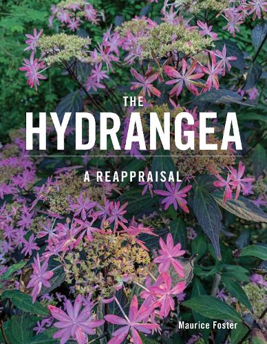 Бумажная книга «The Hydrangea: A Reappraisal», автор Морис Фостер - фото №1