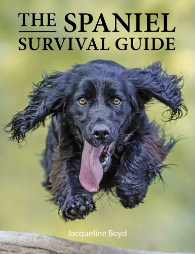 Паперова книга «Spaniel Survival Guide», автор Жаклін Бойд - фото №1