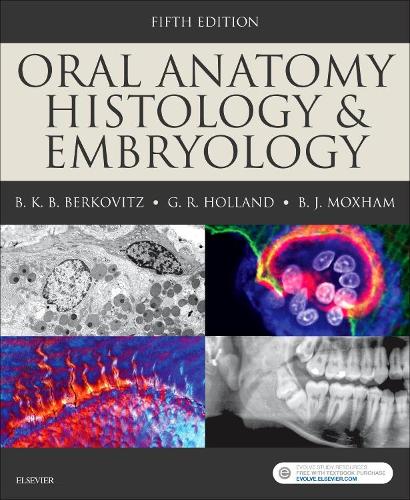 Бумажная книга «Oral Anatomy, Histology and Embryology», авторов Барри К. Б. Берковиц, Бернард Дж. Моксхэм, Г.Р. Холланд - фото №1