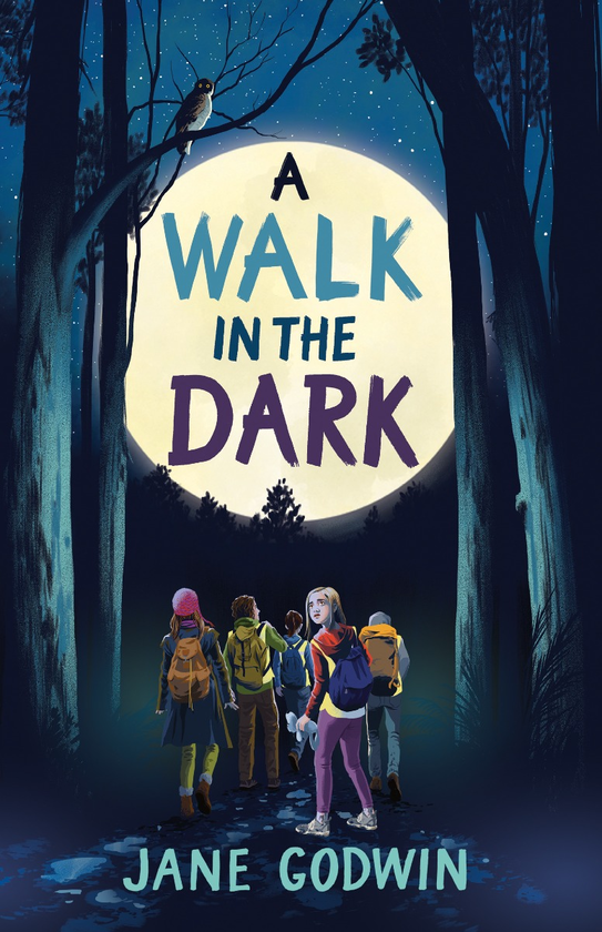 Паперова книга «A Walk in the Dark», автор Джейн Годвін - фото №1