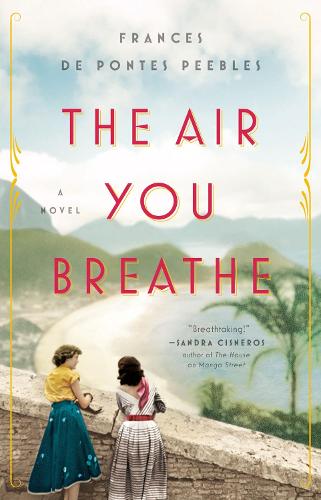 Бумажная книга «The Air You Breathe: A Novel», автор Фрэнсис де Понтес Пиблс - фото №1