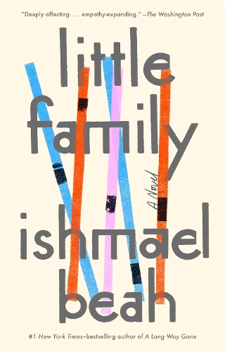Бумажная книга «Little Family: A Novel», автор Измаил Бих - фото №1