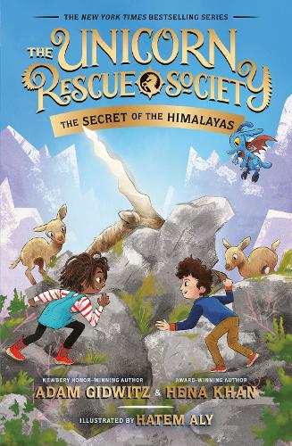 Бумажная книга «The Secret of the Himalayas», авторов Адам Гидвиц, Хена Кхан - фото №1