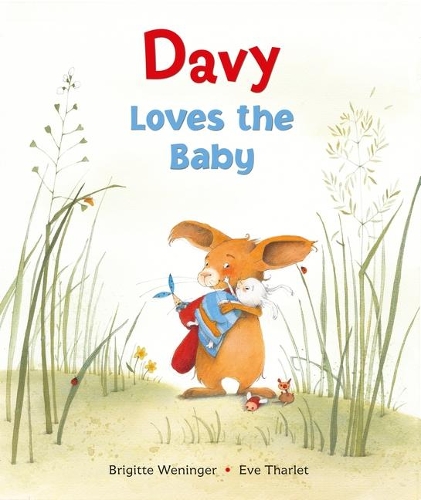 Паперова книга «Davy Loves the Baby», автор Бріджит Венінгер - фото №1