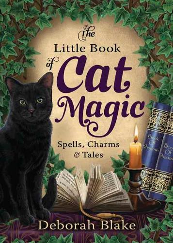 Бумажная книга «The Little Book of Cat Magic: Spells, Charms and Tales», автор Дебора Блейк - фото №1