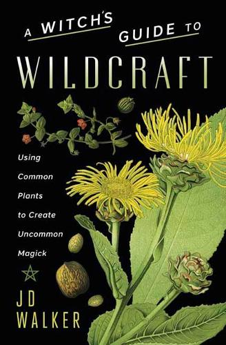  «A Witch's Guide To Wildcraft» - фото №1