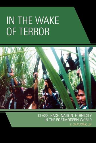 Бумажная книга «In the Wake of Terror: Class, Race, Nation, Ethnicity in the Postmodern World», автор Э. Сан-Хуан - фото №1