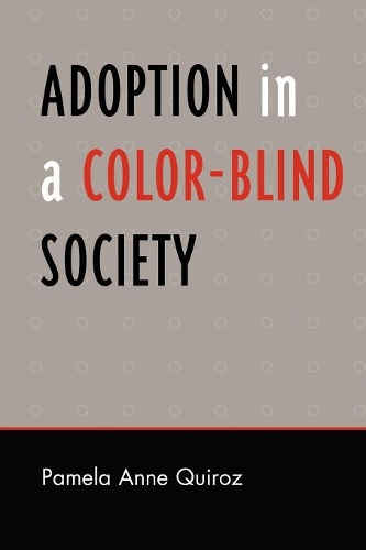 Бумажная книга «Adoption in a Color-Blind Society», автор Памела Энн Кироз - фото №1