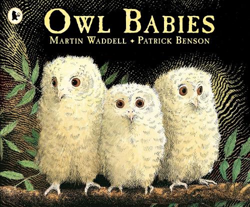 Паперова книга «Owl Babies», автор Мартін Уодделл - фото №1