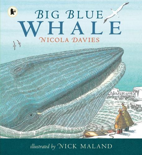 Паперова книга «Big Blue Whale», автор Никола Дэвис - фото №1