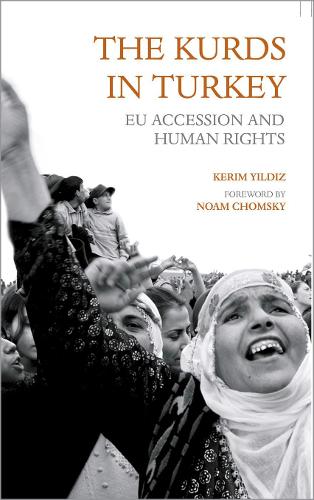 Паперова книга «The Kurds in Turkey: EU Accession and Human Rights», автор Керім Йилдиз - фото №1