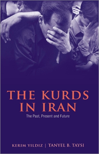 Бумажная книга «The Kurds in Iran: The Past, Present and Future», авторов Керим Йилдиз, Таниэль Тайси - фото №1