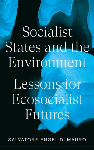 Бумажная книга «Socialist States and the Environment: Lessons for Eco-Socialist Futures», автор Сальваторе Энгель-Ди Мауро - фото №1