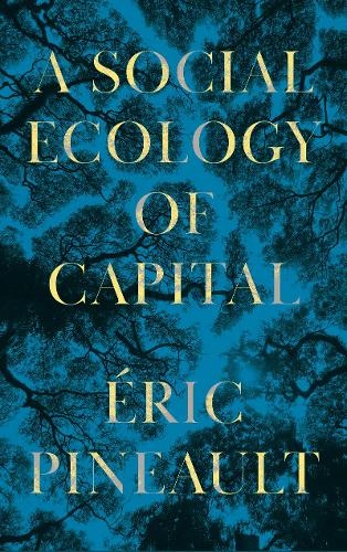 Бумажная книга «A Social Ecology of Capital», автор Эрик Пино - фото №1