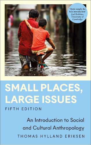 [object Object] «Small Places, Large Issues: An Introduction to Social and Cultural Anthropology», автор Томас Хилланд Эриксен - фото №1