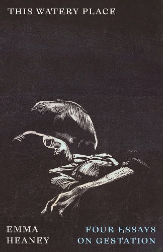 Бумажная книга «This Watery Place: Four Essays on Gestation», автор Эмма Хини - фото №1
