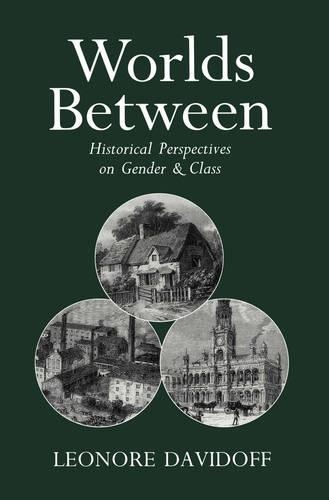 Паперова книга «Worlds Between: Historical Perspectives on Gender and Class», автор Леонора Девідофф - фото №1