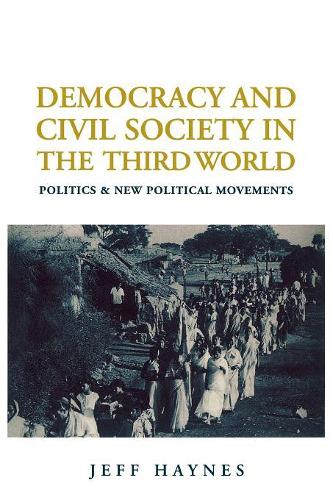 Бумажная книга «Democracy and Civil Society in the Third World: Politics and New Political Movements», автор Джеффри Хейнс - фото №1