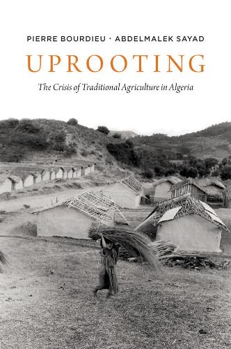 Бумажная книга «Uprooting: The Crisis of Traditional Algriculture in Algeria», авторов Абдельмалек Саяд, Пьер Бурдье - фото №1