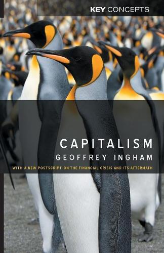 Бумажная книга «Capitalism: With a New Postscript on the Financial Crisis and Its Aftermath», автор Джеффри Ингхэм - фото №1