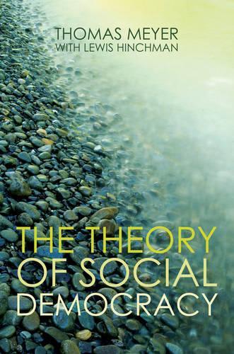 Паперова книга «The Theory of Social Democracy», автор Томас Мейєр - фото №1