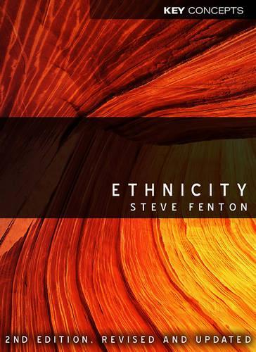 Бумажная книга «Ethnicity», автор Стив Фентон - фото №1