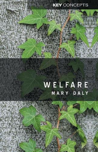 Бумажная книга «Welfare», автор Мэри Дэйли - фото №1