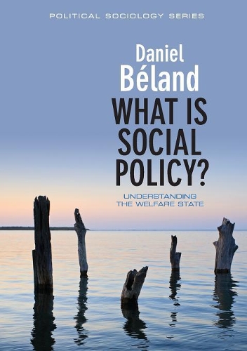 Бумажная книга «What is Social Policy?», автор Даниэль Беланд - фото №1