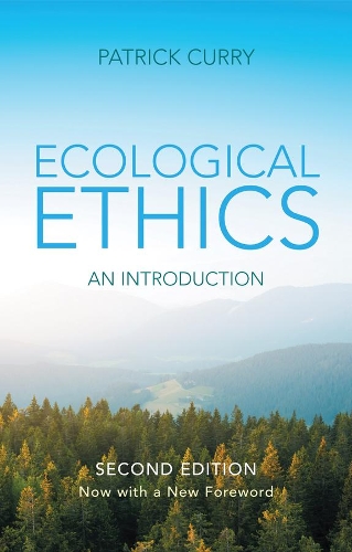 Паперова книга «Ecological Ethics: An Introduction», автор Патрік Каррі - фото №1