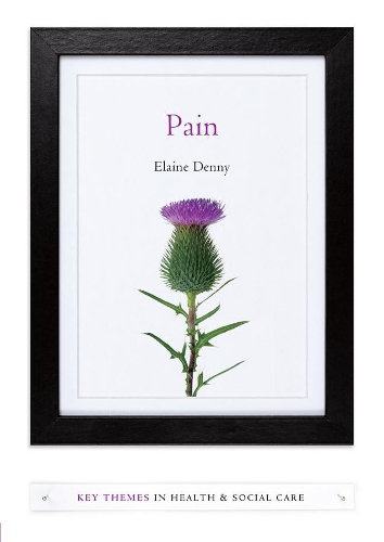 Бумажная книга «Pain: A Sociological Introduction», автор Элейн Денни - фото №1