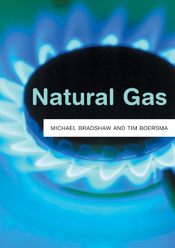 Бумажная книга «Natural Gas», авторов Майкл Дж. Брэдшоу, Тим Бурсма - фото №1
