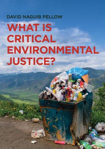Бумажная книга «What is Critical Environmental Justice?», автор Дэвид Нагиб Пеллоу - фото №1