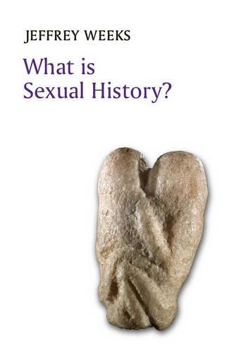 Паперова книга «What is Sexual History?», автор Джеффрі Вікс - фото №1