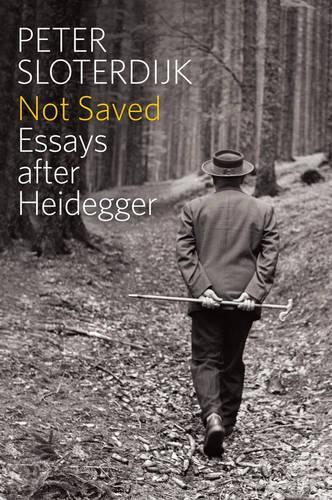 Паперова книга «Not Saved: Essays After Heidegger», автор Петер Слотердайк - фото №1