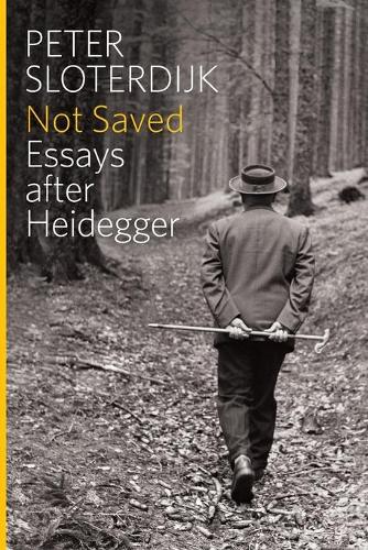 Бумажная книга «Not Saved: Essays After Heidegger», автор Петер Слотердайк - фото №1