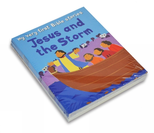 Паперова книга «Jesus and the Storm», автор Лоїс Рок - фото №1