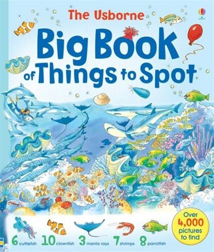 Бумажная книга «Big Book of Things to Spot», авторов Анна Милборн, Джиллиан Доэрти, Рут Броклхерст - фото №1
