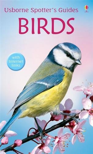 Паперова книга «Birds», автор Пітер Голден - фото №1