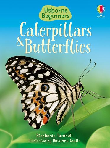 Паперова книга «Caterpillars and Butterflies», автор Стефані Тернбулл - фото №1