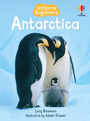 Паперова книга «Antarctica», автор Люсі Боумен - фото №1