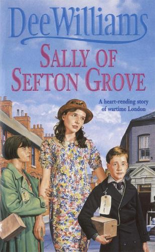 Бумажная книга «Sally of Sefton Grove: A young woman's search for love and fulfilment», автор Ди Уильямс - фото №1