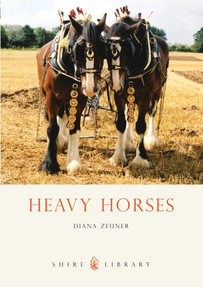Паперова книга «Heavy Horses», автор Діана Цойнер - фото №1